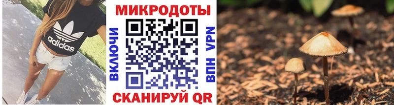 продажа наркотиков  нарко площадка наркотические препараты  Псилоцибиновые грибы ЛСД  Белый 
