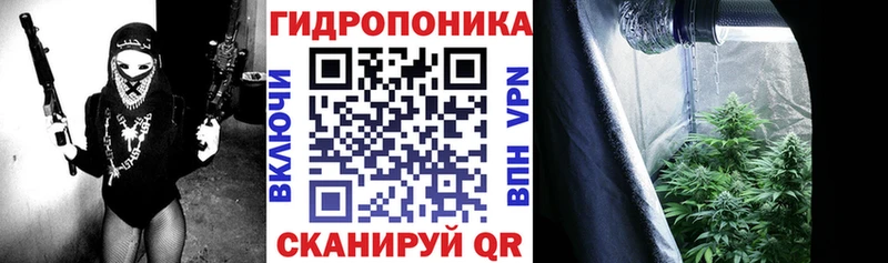 Бошки марихуана конопля Белый